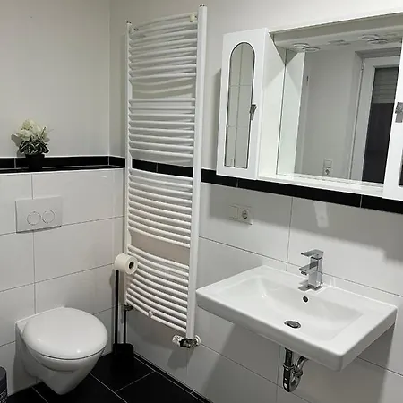 2-zimmer-wohnung Mit Rheinterrasse